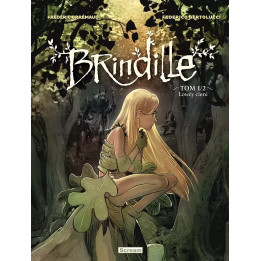 Brindille - Tom 1 - Łowcy cieni.