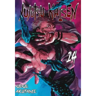 Jujutsu kaisen - 14.