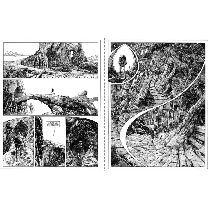 Miraże rozszerzonej nadrzeczywistości - Philippe Druillet, Serge Bihannic