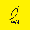 Komiksy wydawnictwa Wilga